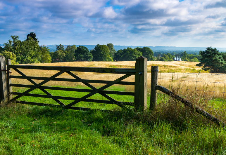 brenchley-landscape