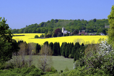 horsmonden-fields